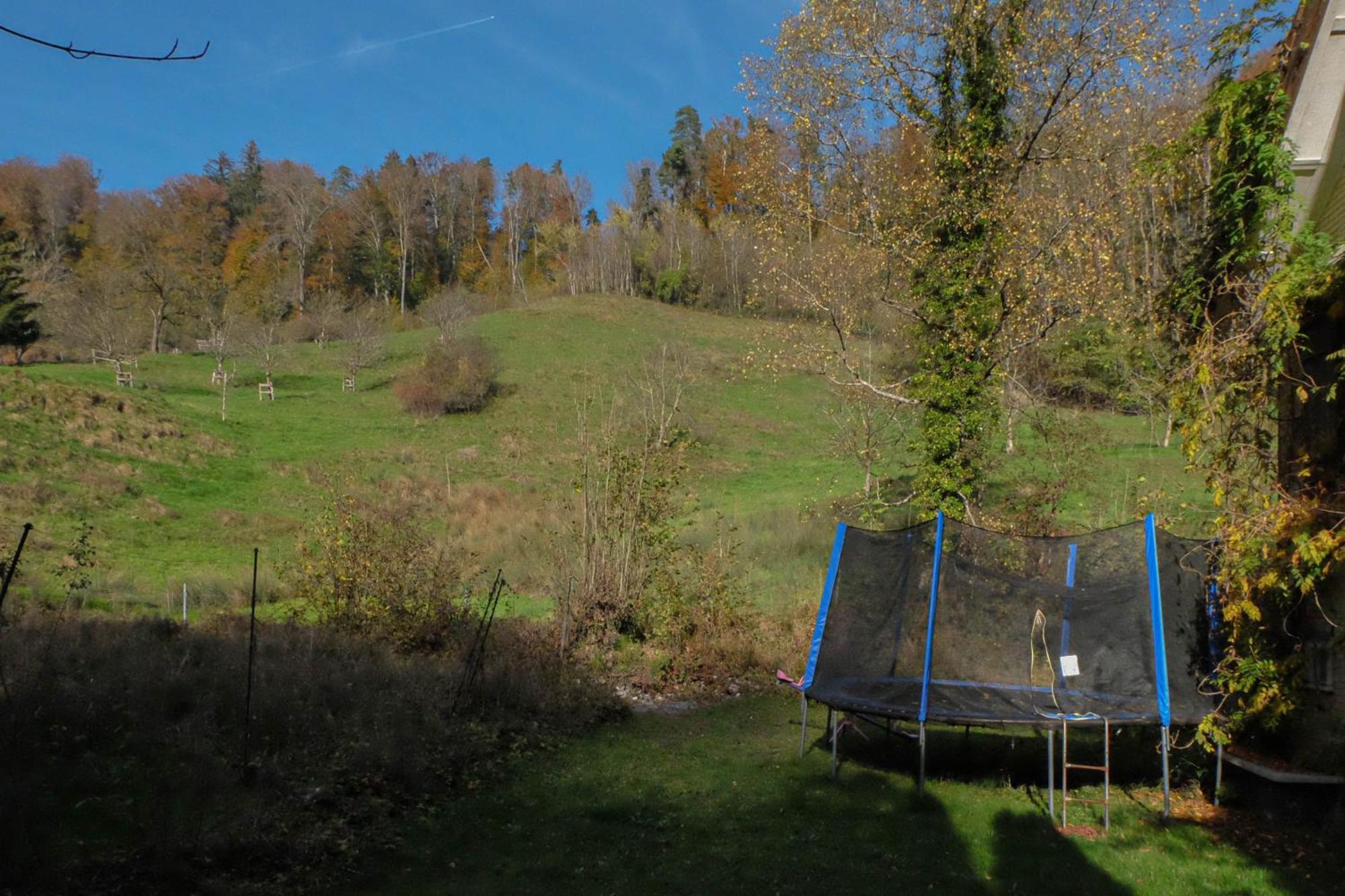 Ferienwohnung Im Gruenen Altstätten Exteriör bild